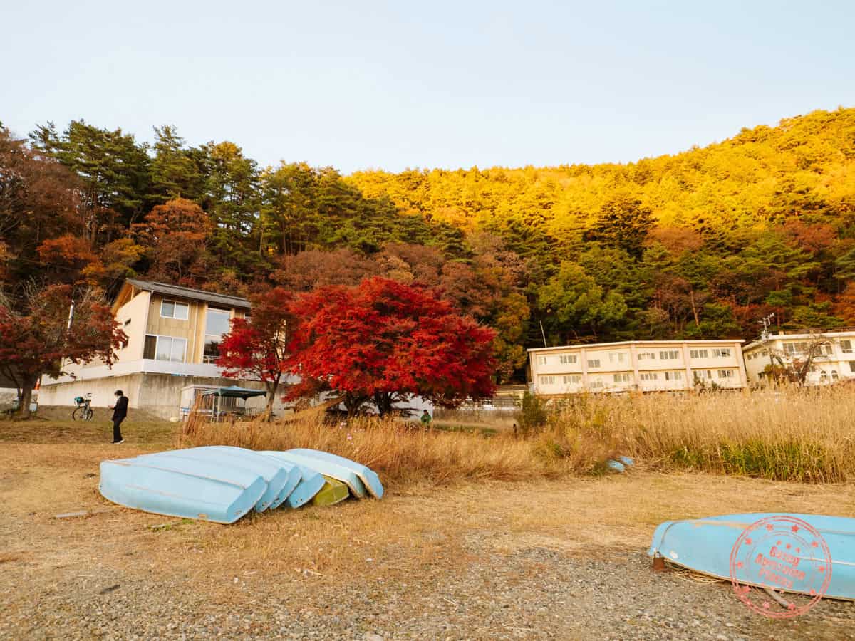 lake kawaguchiko oishi park autumn foliage best photography location