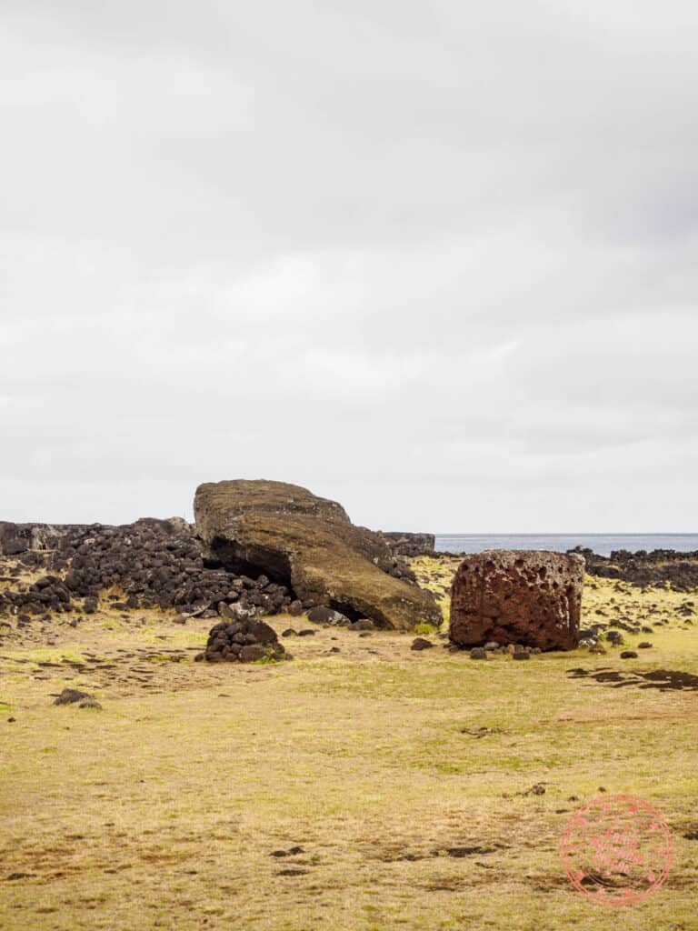largest moai erected at ahu te pito kura