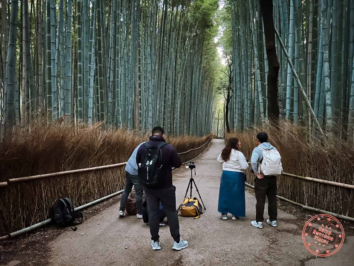 line of photographers at arashiyama bamboo forest