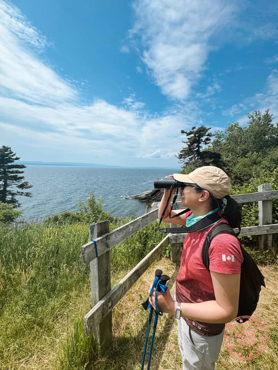 looking out for whales on sentier cap gaspe in gaspesie
