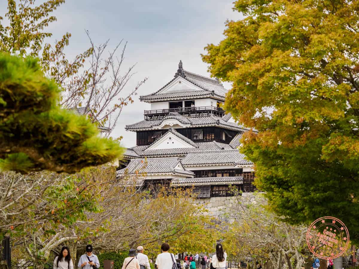 matsuyama castle tower flanked by trees