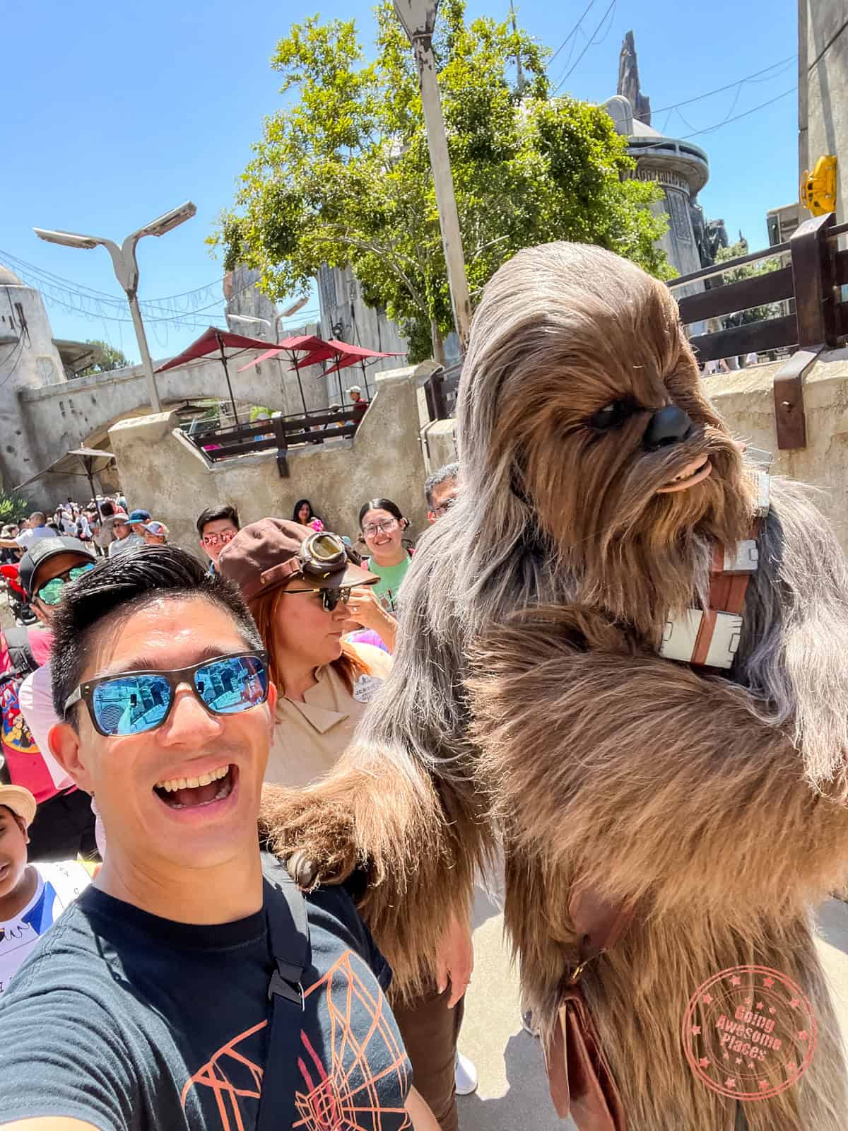 meeting chewbacca in galaxy's edge in disneyland