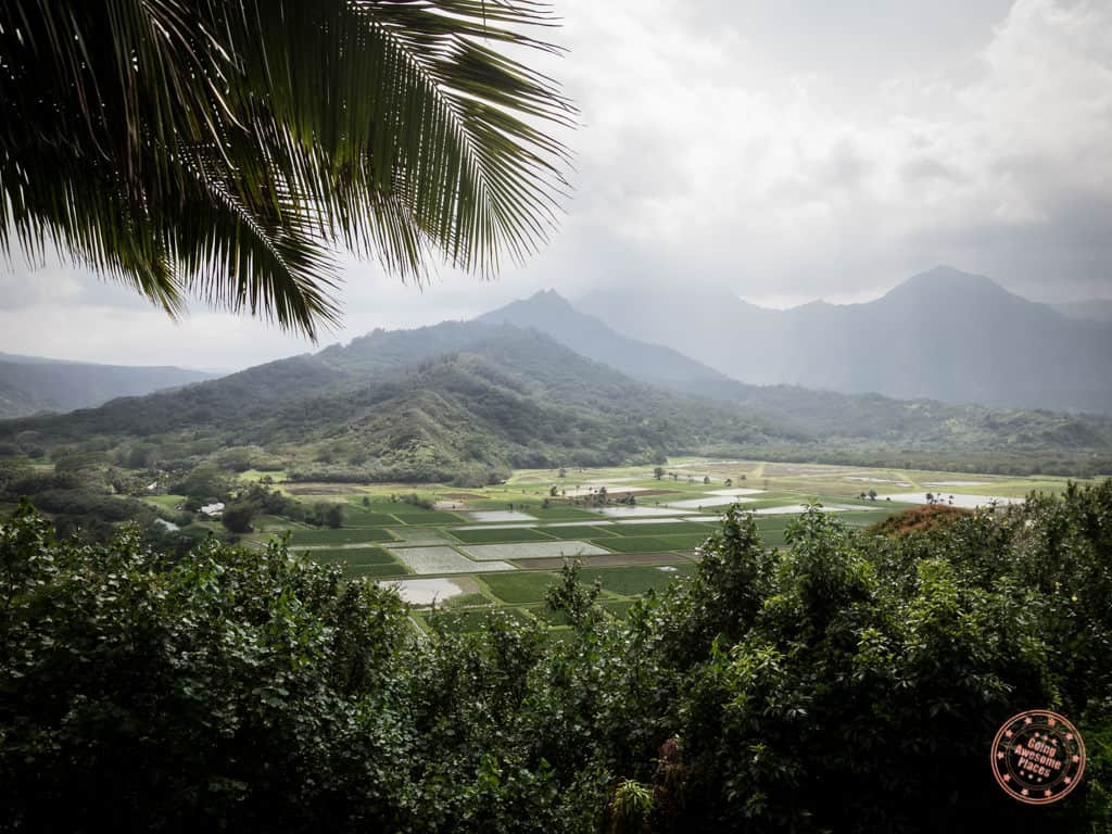 moody north shore in best places to stay in kauai