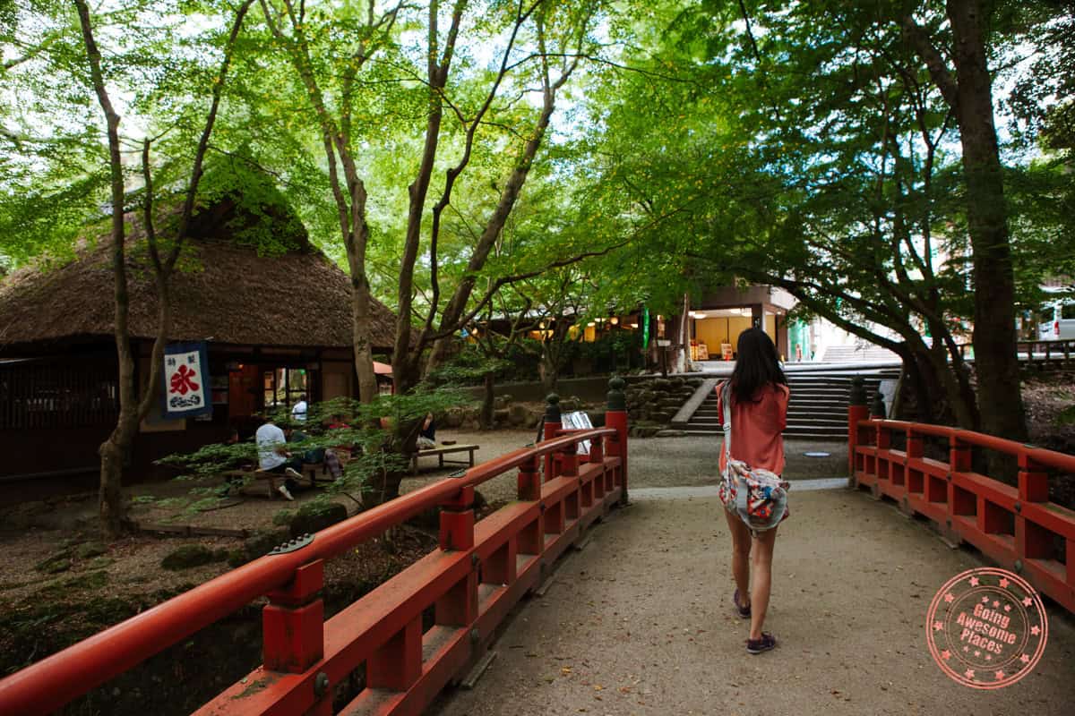 wondering through a wooded village in nara