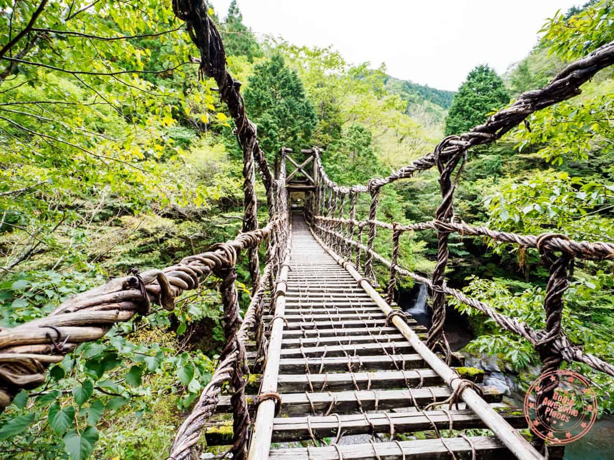 oku iya double vine bridge in shikoku