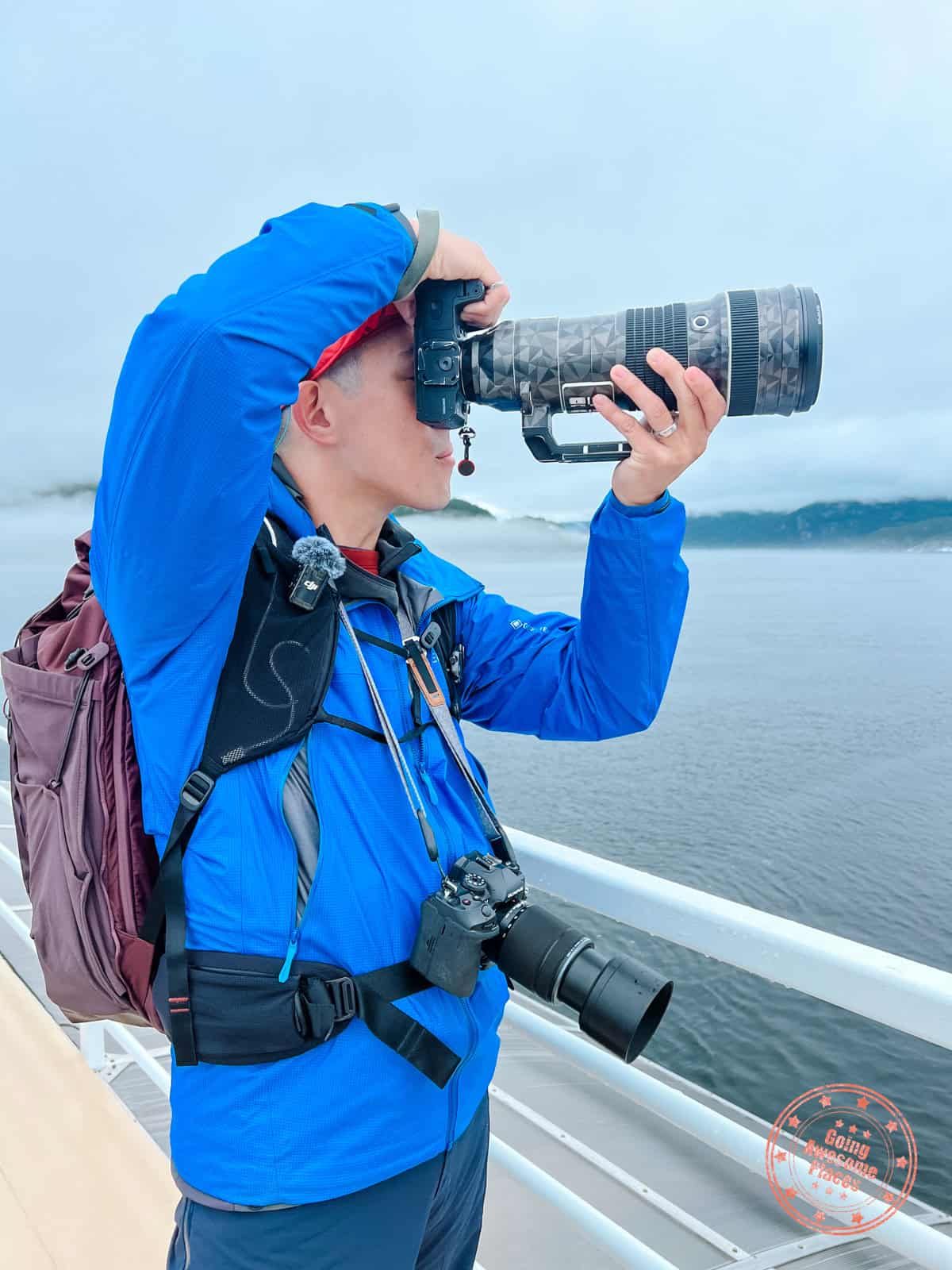 whale watching camera gear set up for whale watching in tadoussac quebec