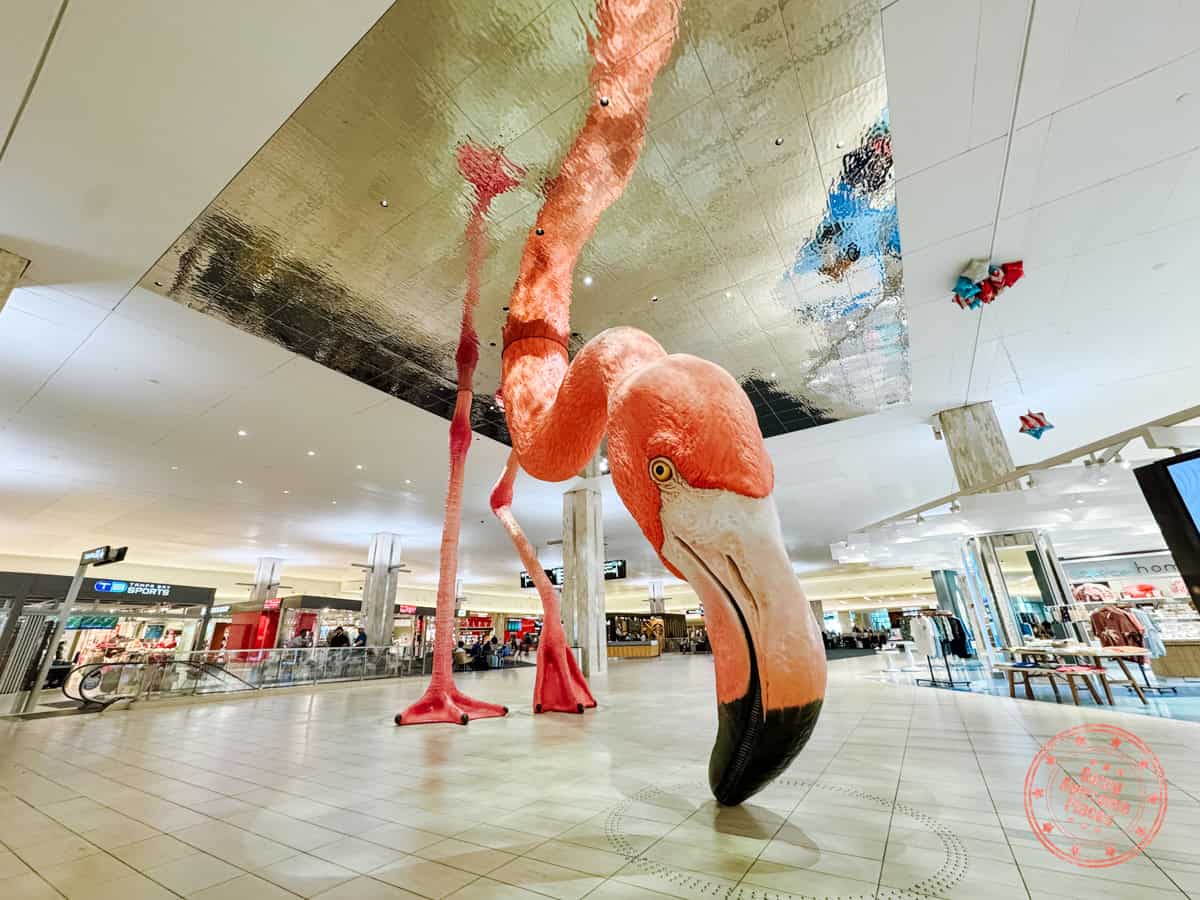 phoebe giant flamingo art at tampa international airport