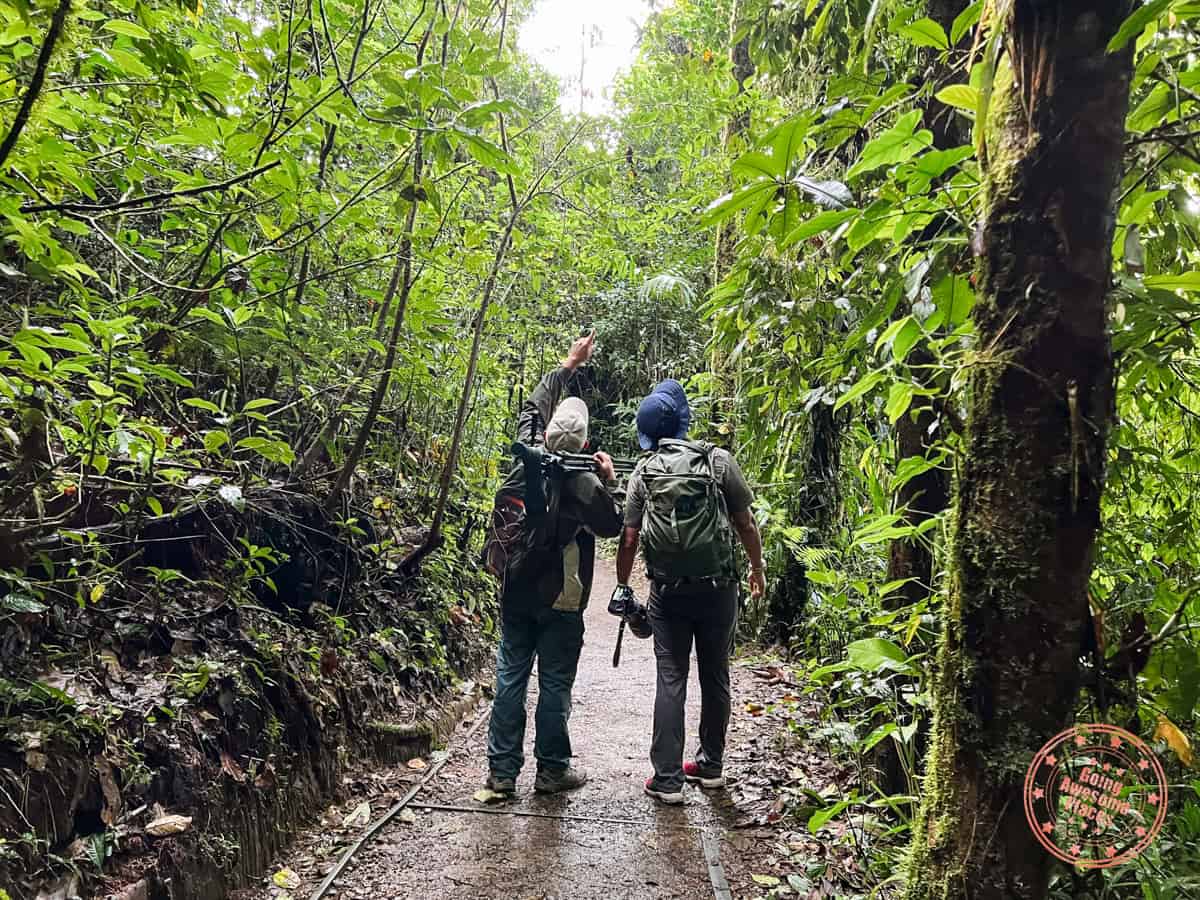 private birdwatching tour with esteban at monteverde cloud forest reserve