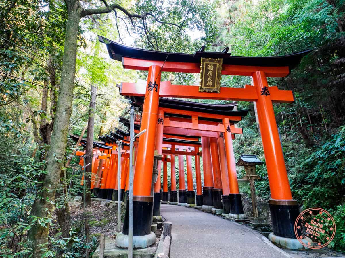red torii gates of fushimi inari in kyoto japan