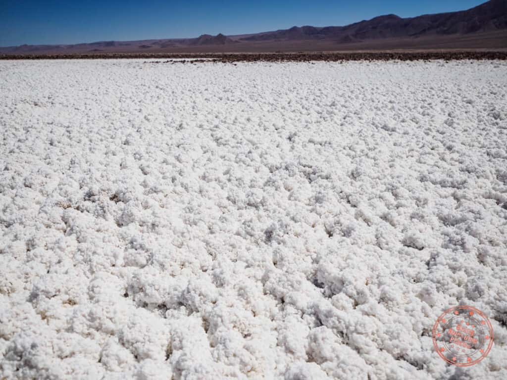 salt popcorn at lagunas baltinache