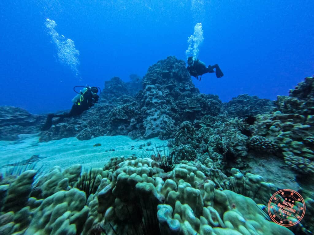 visiting the sunken moai scuba diving with mike rapu on easter island