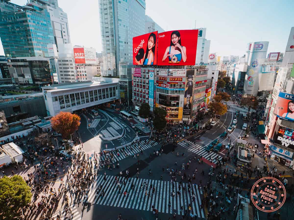 shibuya crossing scramble view from mag8 rooftop lounge