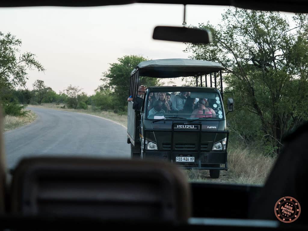 safari trucks converge on cheetah sighting during sunset drive