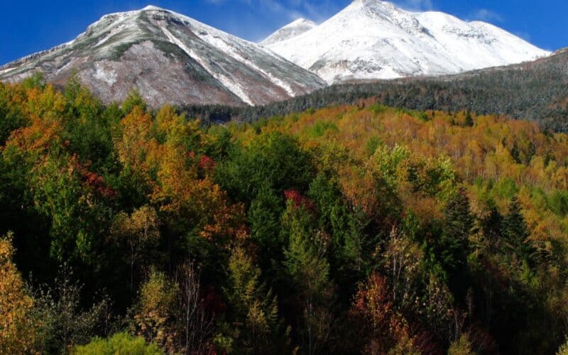 view of the japanese alps in the fall