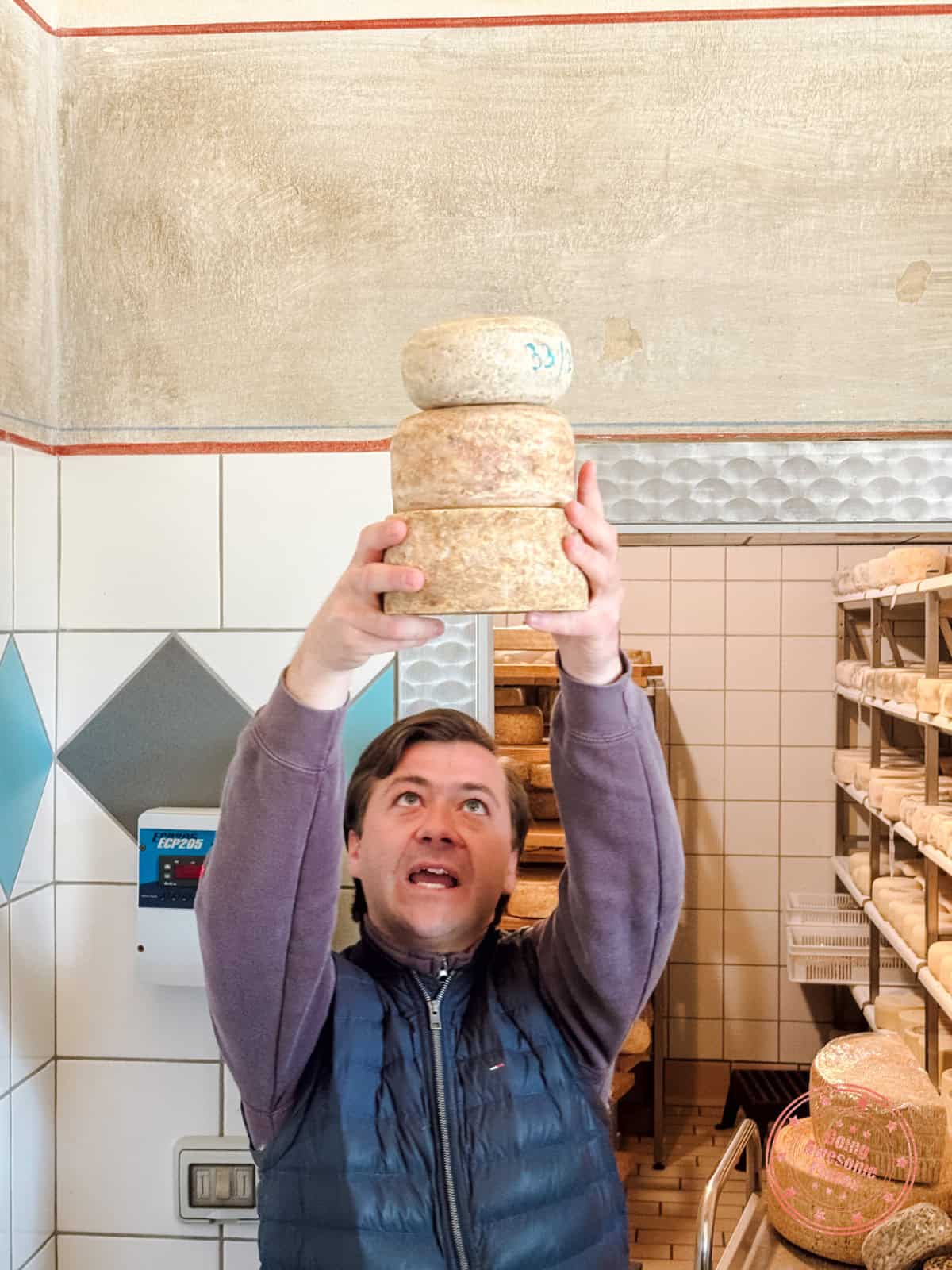 tour of cheese made at podere il casale