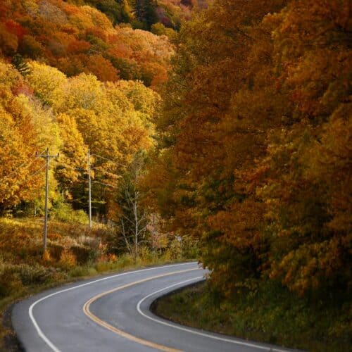 winding road through fall trees in usa