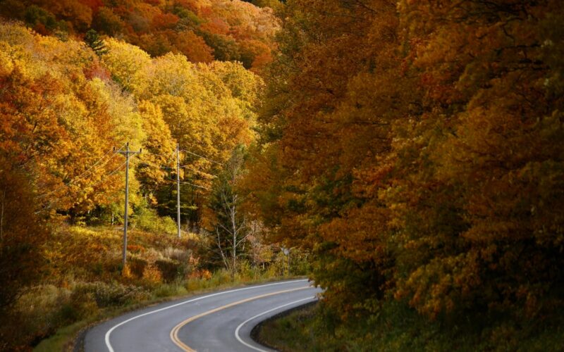 winding road through fall trees in usa