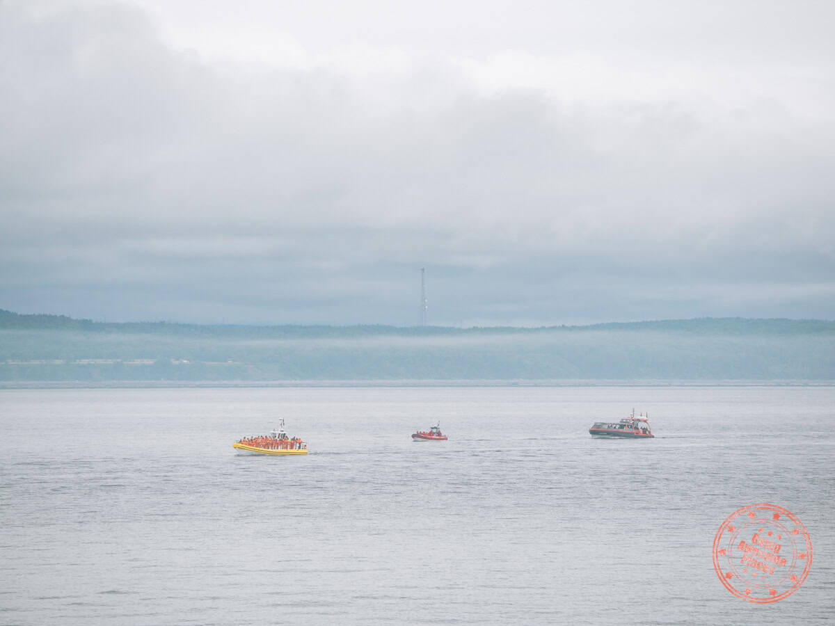 whale watching boats congregating on the st lawrence waiting for whales near tadoussac