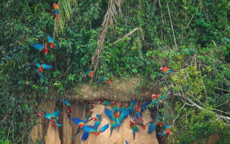 why visit peru featured