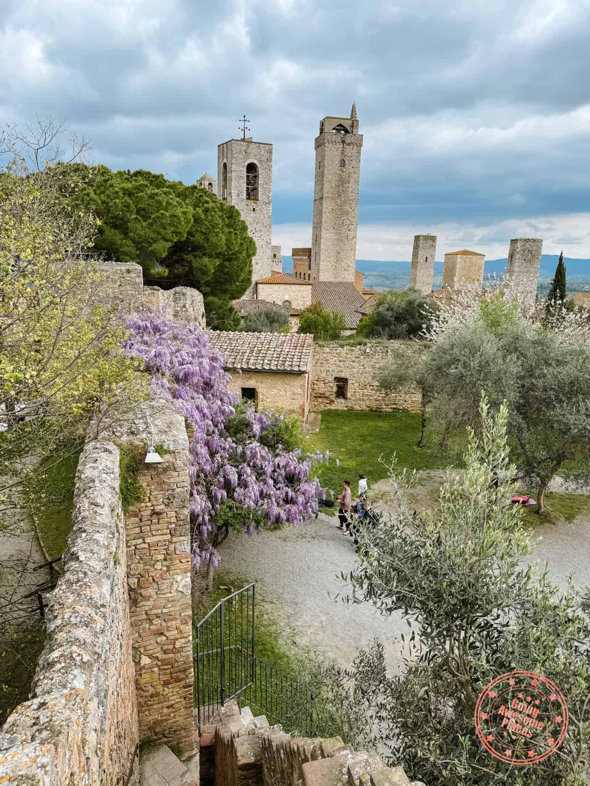 wisteria and walled city of san gimignano