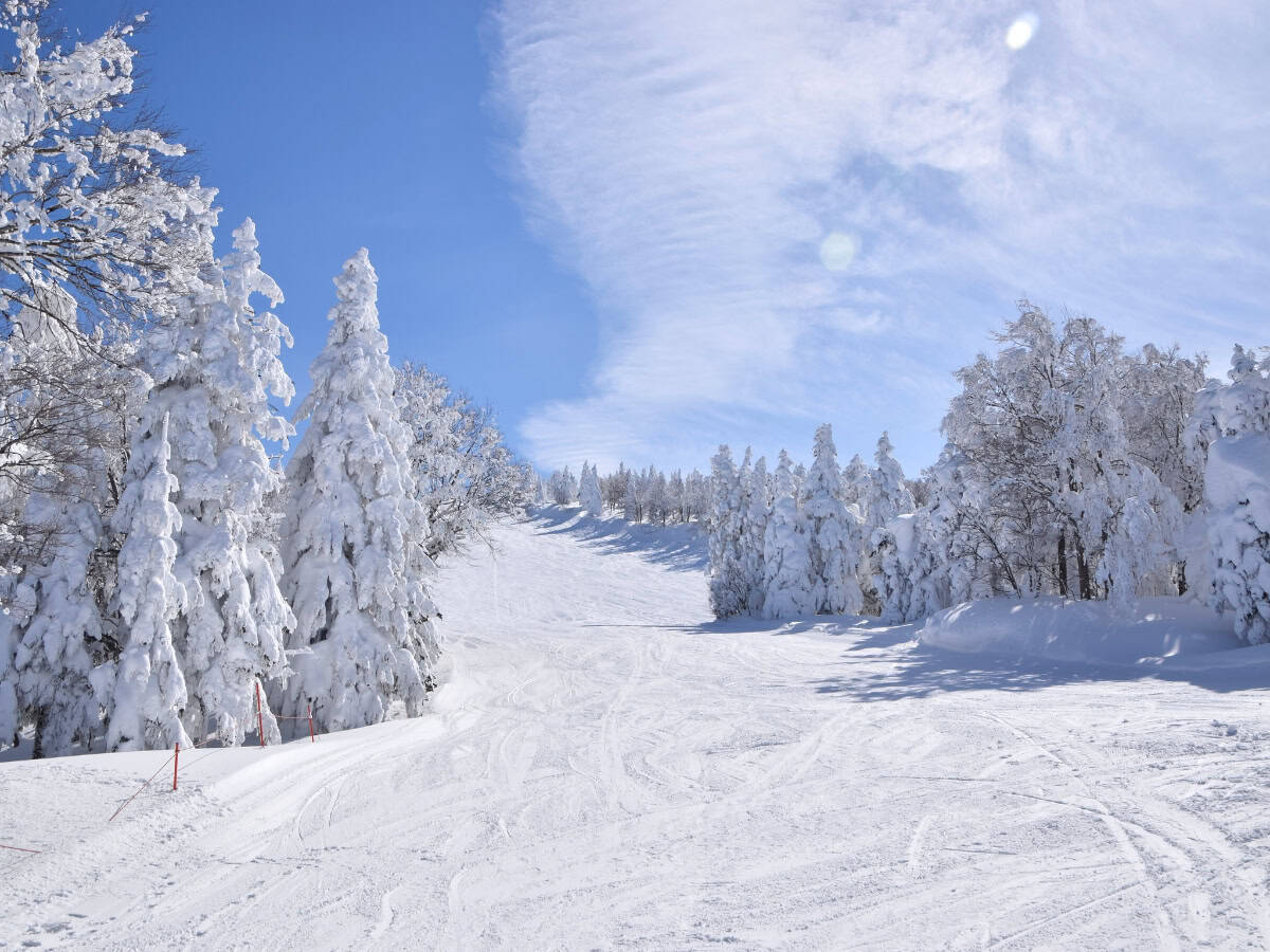one of the ski slopes at zao onsen ski resort